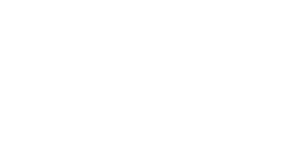 Advisory & Consulting