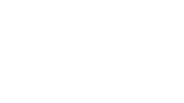 Partnership Development