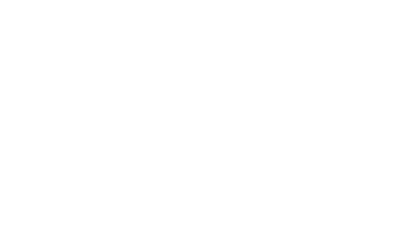 Tokenomics & Roadmapping